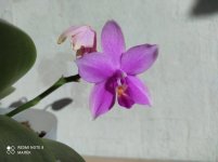 IMG_20210425_175720.jpg