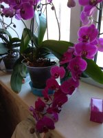 IMG_20210426_114434.jpg