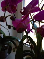 IMG_20210426_114539.jpg