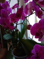 IMG_20210426_114555.jpg