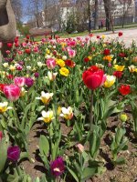 IMG_20210426_120625.jpg