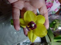 IMG_20210426_202352.jpg