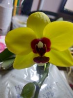 IMG_20210426_202342.jpg