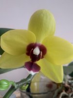 IMG_20210420_172125.jpg