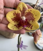 85CF1278-474B-4AE6-A7BA-5AAEA96EC26E.jpeg