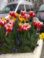 IMG_20210427_160818.jpg
