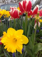 IMG_20210427_160838.jpg