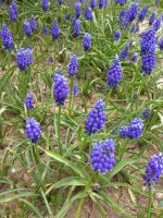 IMG_20210427_161146.jpg