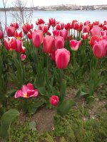 IMG_20210427_161429.jpg