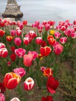 IMG_20210427_161453.jpg