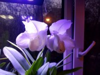 IMG_20210427_191045.jpg