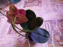 IMG_20210428_105715.jpg