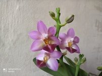 IMG_20210429_094102.jpg