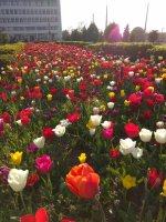 IMG_20210429_182054.jpg