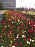 IMG_20210429_182059.jpg