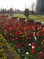 IMG_20210429_182119.jpg