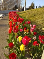 IMG_20210429_182356.jpg