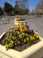IMG_20210501_134407.jpg