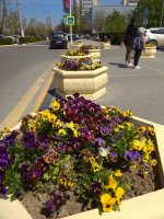 IMG_20210501_134434.jpg