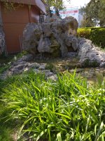 IMG_20210501_133915.jpg