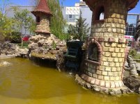 IMG_20210501_133648.jpg