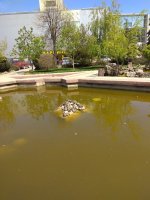 IMG_20210501_133805.jpg