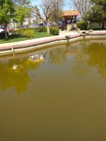 IMG_20210501_133836.jpg