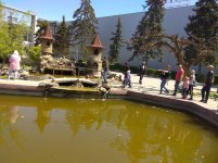 IMG_20210501_134235.jpg