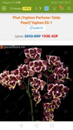 Screenshot_20200911_202759_com.android.chrome.jpg