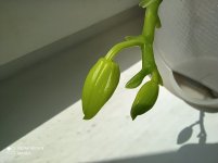 IMG_20210502_124000.jpg