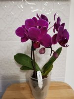 IMG_20210424_012020.jpg