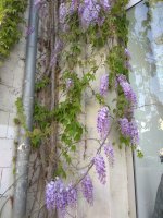 IMG_20210503_161907.jpg