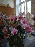 IMG_20210503_155728.jpg