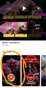 Screenshot_20210504-223745_YouTube.jpg