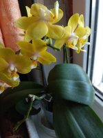 IMG_20210504_122619.jpg