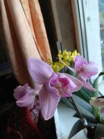IMG_20210504_122510.jpg