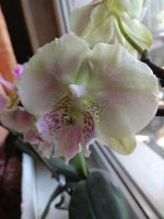 IMG_20210504_122501.jpg