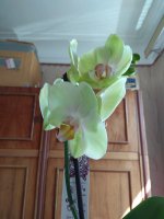 IMG_20210505_094247.jpg