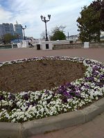 IMG_20210505_152623.jpg