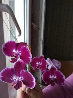 IMG_20210504_122221.jpg