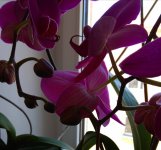 IMG_20210507_194130.jpg