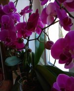 IMG_20210507_194424.jpg