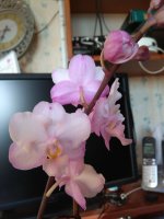 IMG_20210507_183909.jpg