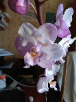 IMG_20210507_184019.jpg