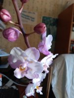IMG_20210507_184024.jpg