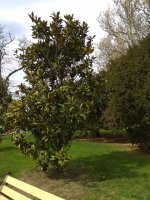 IMG_20210505_153731.jpg