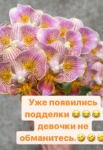 Screenshot_20210508-203037_Instagram.jpg
