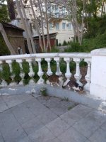 IMG_20210509_063016.jpg