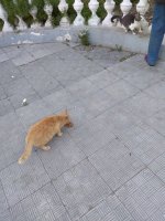 IMG_20210509_063030.jpg