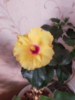 IMG20210514194301.jpg